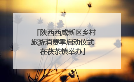 陕西西咸新区乡村旅游消费季启动仪式在茯茶镇举办