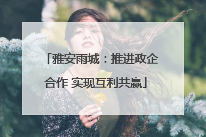 雅安雨城：推进政企合作 实现互利共赢