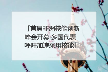 首届非洲核能创新峰会开幕 多国代表呼吁加速采用核能