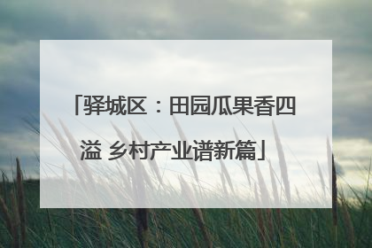 驿城区：田园瓜果香四溢 乡村产业谱新篇