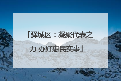 驿城区：凝聚代表之力 办好惠民实事