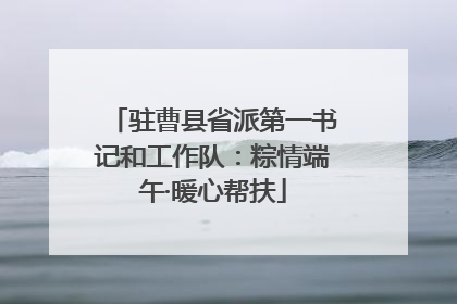 驻曹县省派第一书记和工作队：粽情端午·暖心帮扶