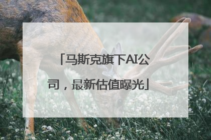 马斯克旗下AI公司，最新估值曝光