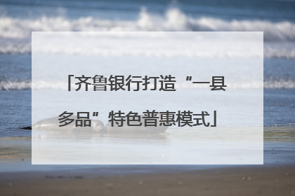 齐鲁银行打造“一县多品”特色普惠模式