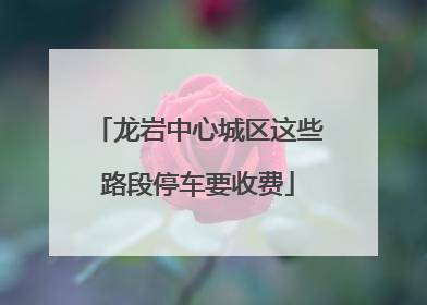 龙岩中心城区这些路段停车要收费