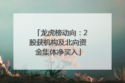 龙虎榜动向：2股获机构及北向资金集体净买入