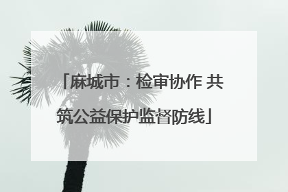 麻城市：检审协作 共筑公益保护监督防线