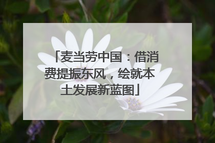 麦当劳中国：借消费提振东风，绘就本土发展新蓝图