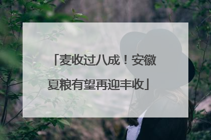 麦收过八成！安徽夏粮有望再迎丰收