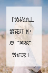 黄花镇上繁花开 仲夏“黄花”等你来