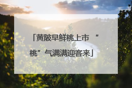 黄陂早鲜桃上市 “桃”气满满迎客来