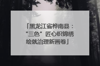 黑龙江省桦南县：“三色”匠心织锦绣 绘就治理新画卷
