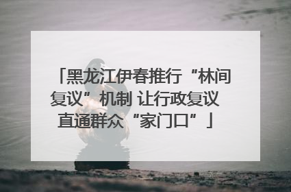 黑龙江伊春推行“林间复议”机制 让行政复议直通群众“家门口”