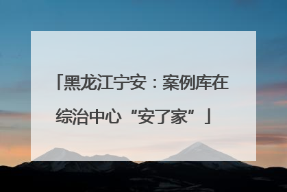 黑龙江宁安：案例库在综治中心“安了家”