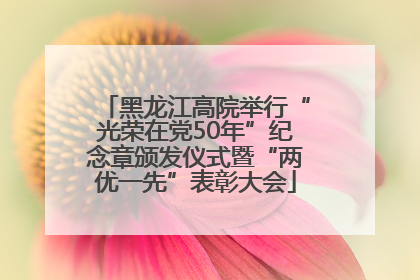 黑龙江高院举行“光荣在党50年”纪念章颁发仪式暨“两优一先”表彰大会