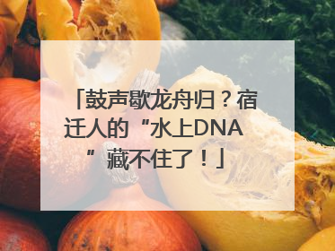 鼓声歇龙舟归？宿迁人的“水上DNA”藏不住了！