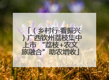 （乡村行·看振兴）广西钦州荔枝集中上市 “荔枝+农文旅融合”助农增收
