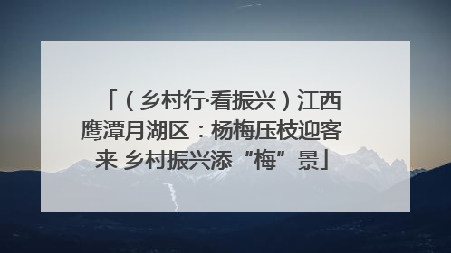 （乡村行·看振兴）江西鹰潭月湖区：杨梅压枝迎客来 乡村振兴添“梅”景