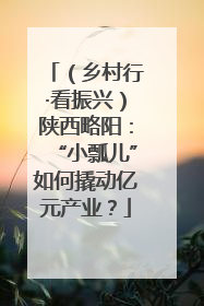 （乡村行·看振兴）陕西略阳：“小瓢儿”如何撬动亿元产业？