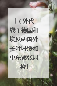 （外代一线）德国和埃及两国外长呼吁缓和中东紧张局势