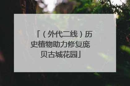 （外代二线）历史植物助力修复庞贝古城花园