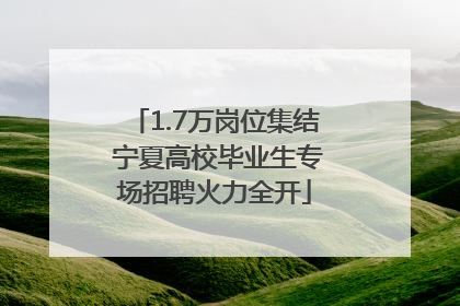 1.7万岗位集结 宁夏高校毕业生专场招聘火力全开
