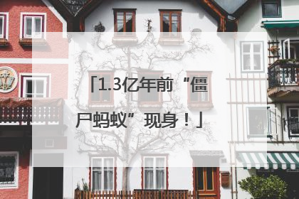 1.3亿年前“僵尸蚂蚁”现身！