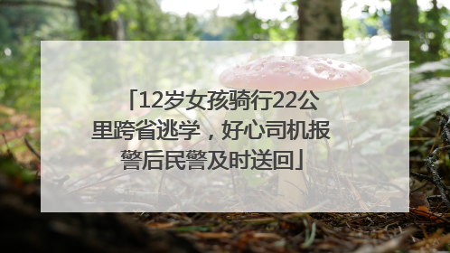 12岁女孩骑行22公里跨省逃学，好心司机报警后民警及时送回