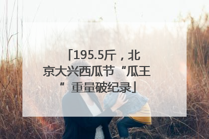 195.5斤，北京大兴西瓜节“瓜王”重量破纪录