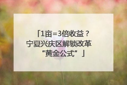 1亩=3倍收益？宁夏兴庆区解锁改革“黄金公式”