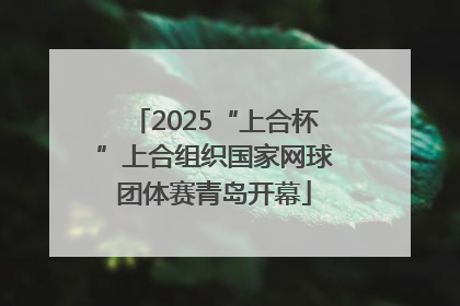 2025“上合杯”上合组织国家网球团体赛青岛开幕