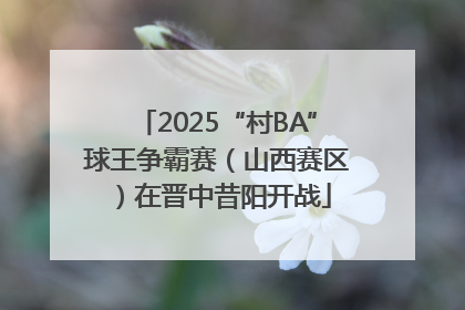 2025“村BA”球王争霸赛（山西赛区）在晋中昔阳开战
