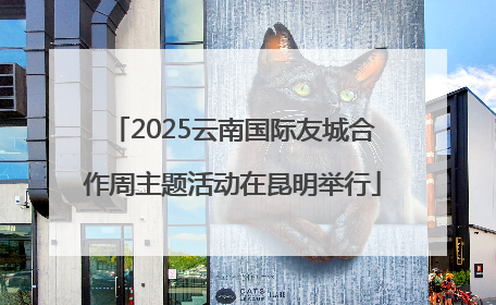 2025云南国际友城合作周主题活动在昆明举行