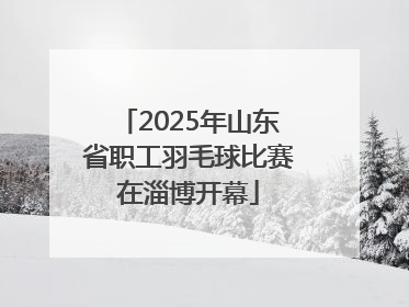2025年山东省职工羽毛球比赛在淄博开幕