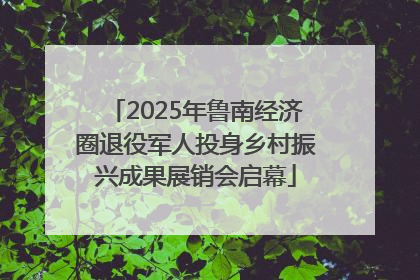 2025年鲁南经济圈退役军人投身乡村振兴成果展销会启幕