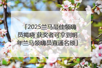 2025兰马最佳领嗨员揭晓 获奖者可拿到明年兰马领嗨员直通名额