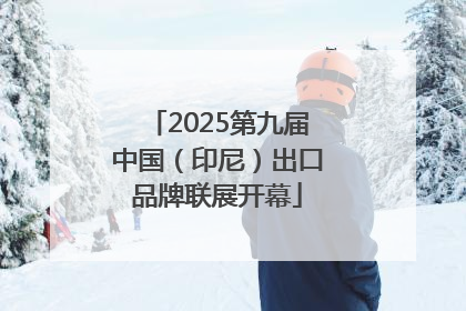 2025第九届中国（印尼）出口品牌联展开幕