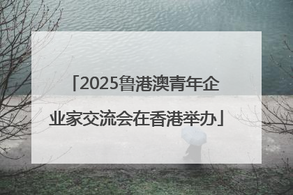 2025鲁港澳青年企业家交流会在香港举办