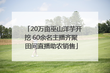 20万亩巫山洋芋开挖 60余名主播齐聚田间直播助农销售