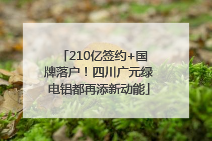 210亿签约+国牌落户！四川广元绿电铝都再添新动能