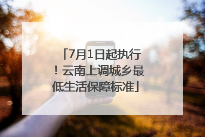 7月1日起执行！云南上调城乡最低生活保障标准