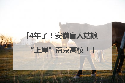4年了！安徽盲人姑娘“上岸”南京高校！