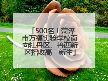 500名！菏泽市万福实验学校面向牡丹区、鲁西新区招收高一新生
