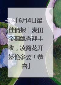 6月4日最佳情报｜麦田金穗飘香迎丰收，凌霄花开娇艳多姿！恭喜