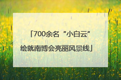 700余名“小白云”绘就南博会亮丽风景线