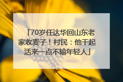 70岁任达华回山东老家收麦子！村民：他干起活来一点不输年轻人