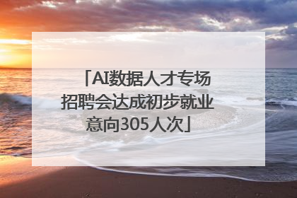 AI数据人才专场招聘会达成初步就业意向305人次
