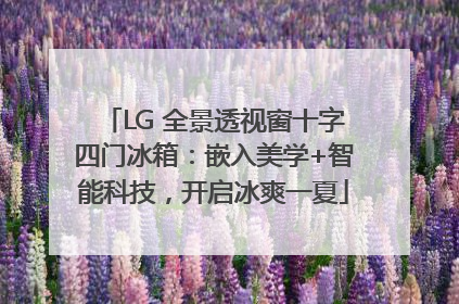 LG 全景透视窗十字四门冰箱：嵌入美学+智能科技，开启冰爽一夏